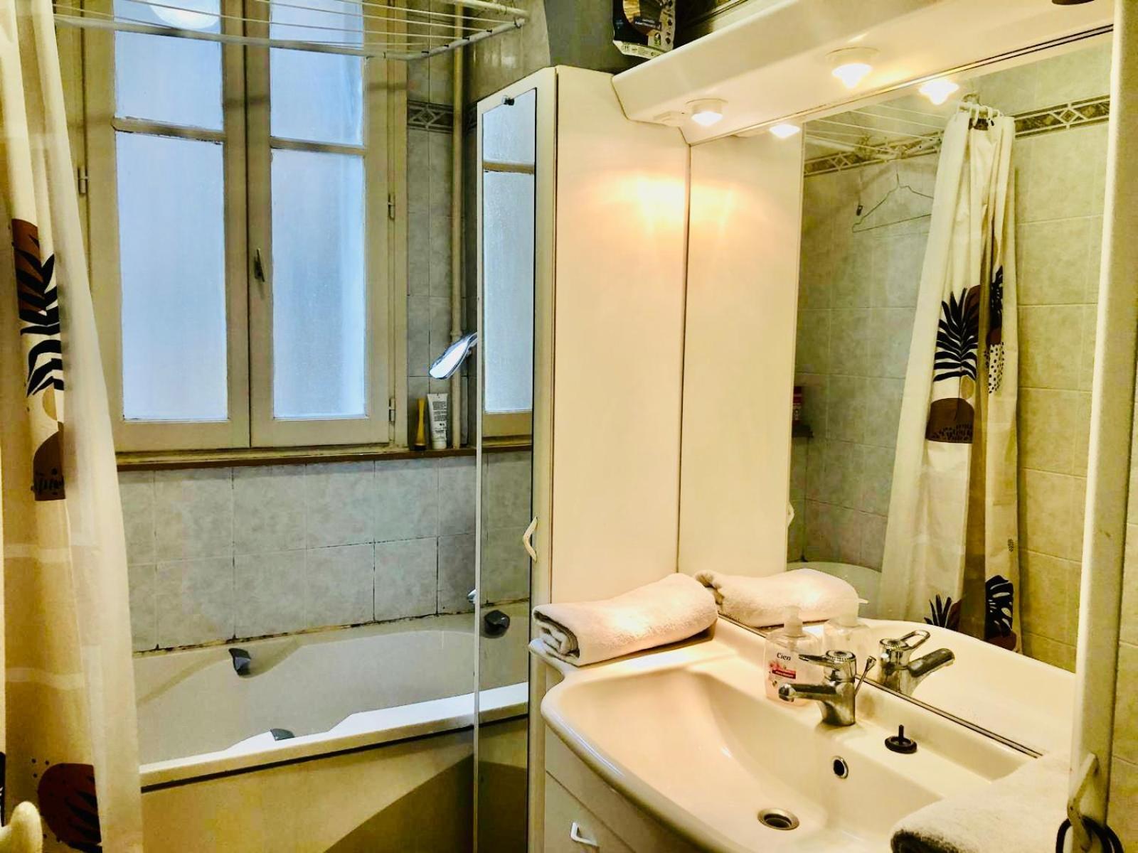 Parisien 15e Apartment
